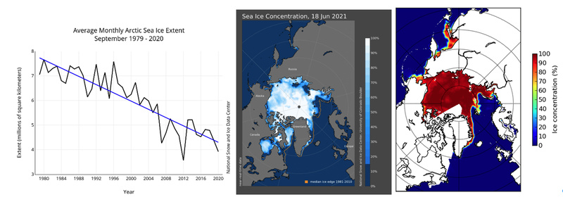 Examples of sea ice concentration products