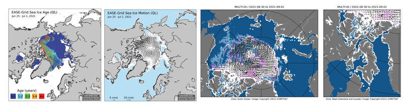 Examples of NSIDC (left) sea ice age derived from (middle) Polar Pathfinder 25 km sea ice motion from June 25 – July 1, 2021, and (right) OSI SAF sea ice drift for August 31, 2021 based on time elapsed from August 30 to September 1, 2021.